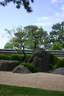 Japánkert képek az internetről - 400x600 pixel - 108752 byte 