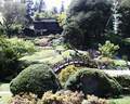 Japánkert képek az internetről - 640x512 pixel - 135717 byte 