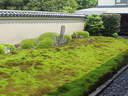Japánkert képek az internetről - 640x480 pixel - 123897 byte 
