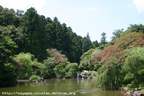 Japánkert képek az internetről - 602x400 pixel - 87882 byte 