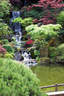 Japánkert képek az internetről - 360x540 pixel - 110010 byte 