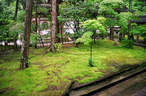 Japánkert képek az internetről - 540x356 pixel - 110702 byte 