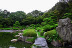 Japánkert képek az internetről - 600x400 pixel - 118894 byte 