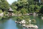 Japánkert képek az internetről - 908x627 pixel - 171632 byte 