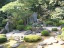 Japánkert képek az internetről - 533x400 pixel - 97741 byte 
