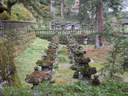 Japánkert képek az internetről - 1024x768 pixel - 349842 byte 