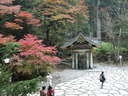 Japánkert képek az internetről - 1024x768 pixel - 392997 byte 