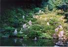 Japánkert képek az internetről - 360x251 pixel - 40602 byte 
