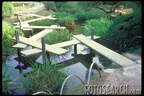 Japánkert képek az internetről - 500x333 pixel - 73483 byte 