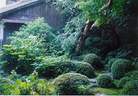 Japánkert képek az internetről - 360x251 pixel - 42794 byte 