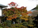Japánkert képek az internetről - 1024x768 pixel - 358110 byte 