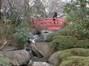 Japánkert képek az internetről - 600x450 pixel - 103154 byte 