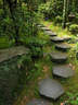 Japánkert képek az internetről - 576x768 pixel - 259423 byte 