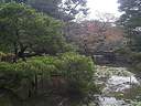 Japánkert képek az internetről - 346x260 pixel - 48391 byte 