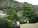 Japánkert képek az internetről - 640x480 pixel - 104473 byte 