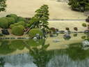 Japánkert képek az internetről - 640x480 pixel - 93024 byte 