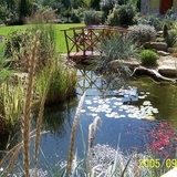 kertito kerti tó kerttervezés kertépítés csobogó vízesés - 1024x683 pixel - 390297 byte