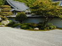 Japánkert képek az internetről - 600x450 pixel - 144820 byte 