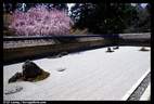 Japánkert képek az internetről - 576x390 pixel - 79320 byte 