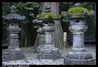 Japánkert képek az internetről - 576x395 pixel - 82617 byte 