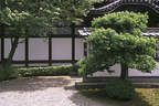 Japánkert képek az internetről - 300x200 pixel - 28417 byte 