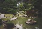 Japánkert képek az internetről - 777x532 pixel - 75543 byte 