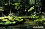 Japánkert képek az internetről - 715x468 pixel - 152641 byte 