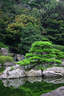 Japánkert képek az internetről - 367x550 pixel - 137592 byte 