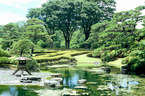 Japánkert képek az internetről - 454x300 pixel - 89257 byte 