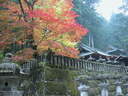 Japánkert képek az internetről - 1024x768 pixel - 413992 byte 