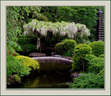 Japánkert képek az internetről - 810x702 pixel - 318099 byte 