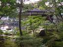 Japánkert képek az internetről - 600x450 pixel - 103559 byte 