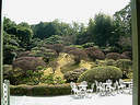 Japánkert képek az internetről - 200x150 pixel - 20415 byte 