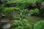 Japánkert képek az internetről - 485x324 pixel - 74354 byte 