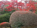 Japánkert képek az internetről - 1024x768 pixel - 455076 byte 