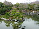 Japánkert képek az internetről - 640x480 pixel - 108180 byte 