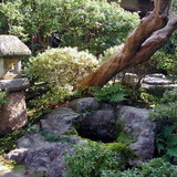 Japánkert képek az internetről - 640x480 pixel - 145551 byte