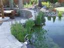 kerti tó kerttervezés álomkert kertépítés szép kert, szép kertek pihenőkert - 1024x768 pixel - 273597 byte 